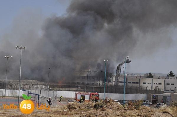 fireramlasejn4288 (28).JPG